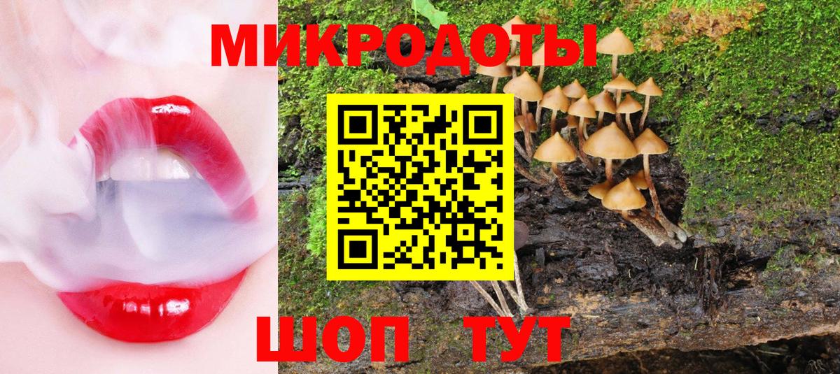 Псилоцибиновые грибы Psilocybe  Вход с VPN  Галлюциногенные грибы мицелий  Тихорецк 