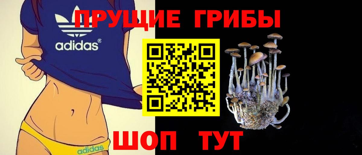 Псилоцибиновые грибы MAGIC MUSHROOMS Тихорецк